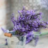 bunch-of-lavender-flowers-2023-11-27-05-12-09-utc-scaled-1.webp